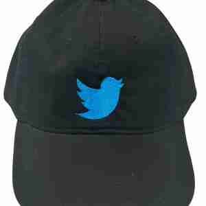 Vintage Twitter Hat
